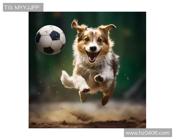 足球明星与狗狗之间的深厚情谊与温馨瞬间探秘 足球明星与狗狗之间的深厚情谊与温馨瞬间探秘