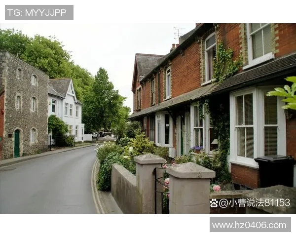 布莱克尼的魅力探索：揭示这座小镇的历史与文化之美