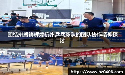 团结拼搏铸辉煌杭州乒乓球队的团队协作精神探讨